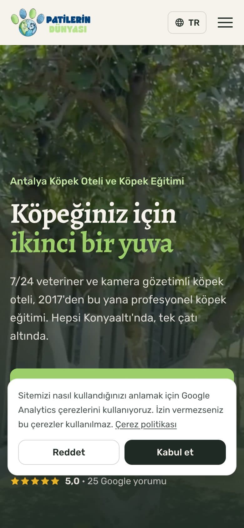 Patilerin Dünyası on a phone